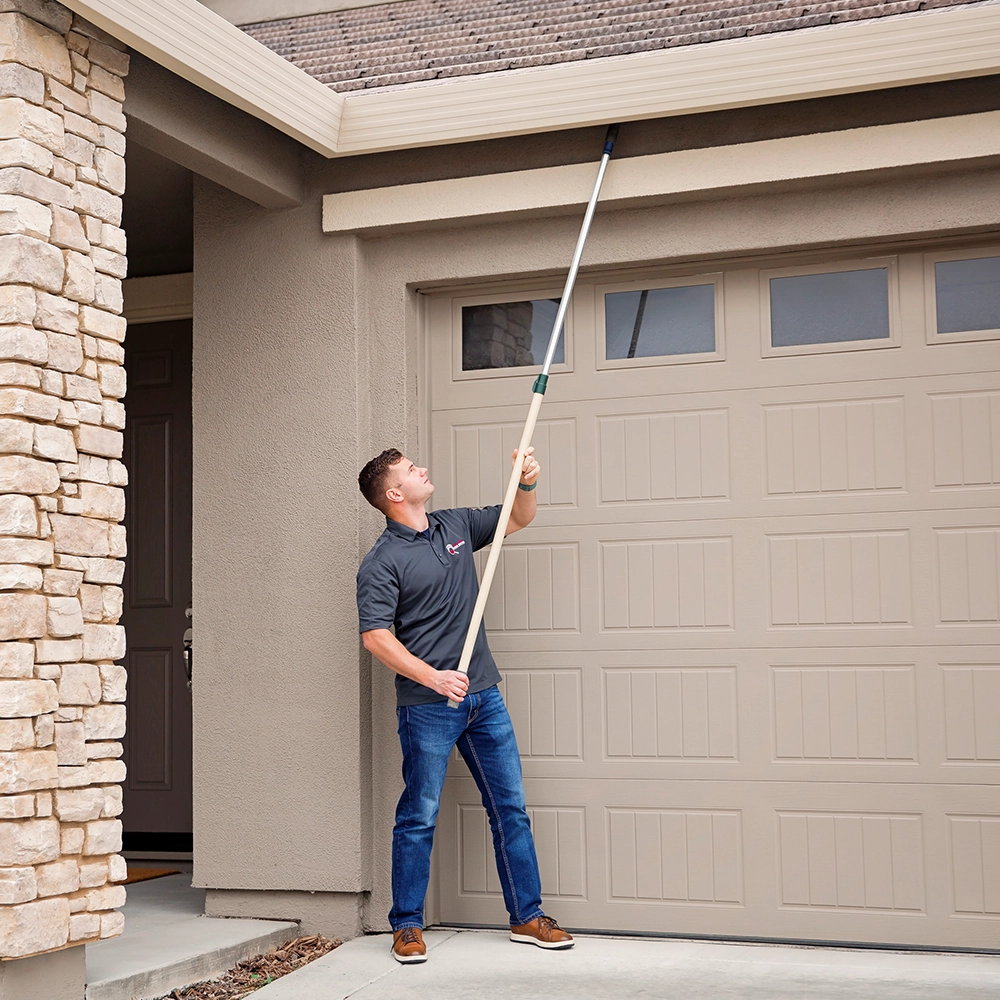 Termite Inspection Sacramento, CA | Good Life Inspections