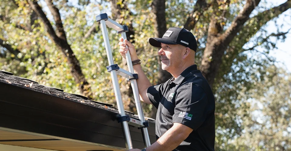 Roof Inspections What to Look For