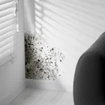 Mold Prevention tips