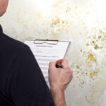 does insurance cover mold