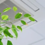 how to improve air quality